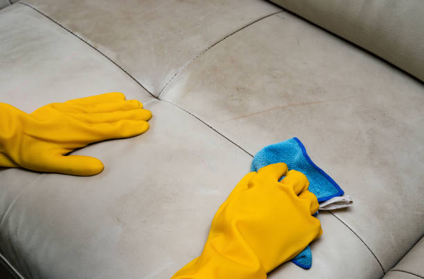 istock cleaning leather sofa at home with wet towel 882535552