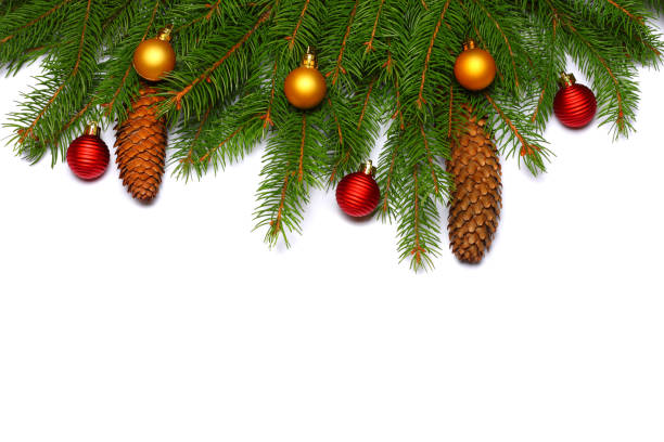 istock Christmas background. Top view with copy space. fir tree with cone isolated on white background 882538192