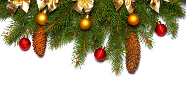 istock Christmas background. Top view with copy space. fir tree with cone isolated on white background 882538216