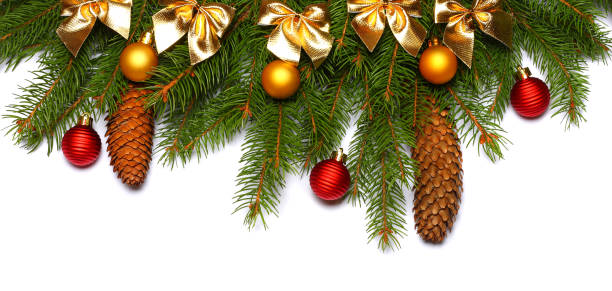 istock Christmas background. Top view with copy space. fir tree with cone isolated on white background 882538230