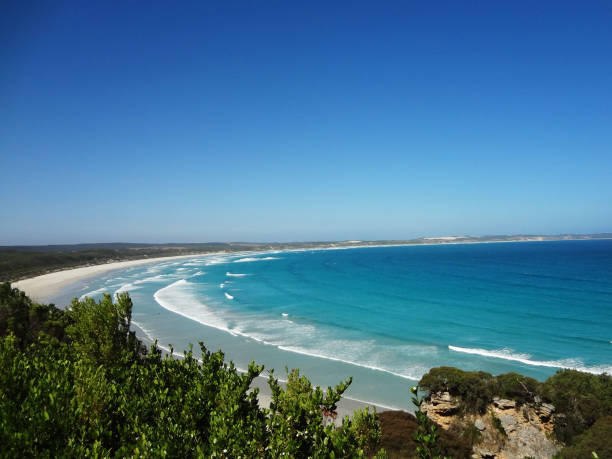 istock View of Victoria's highest point - Australia 882538916