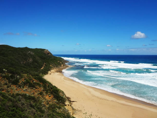 istock Praia em Cape Otway - Great Ocean Road 882547648