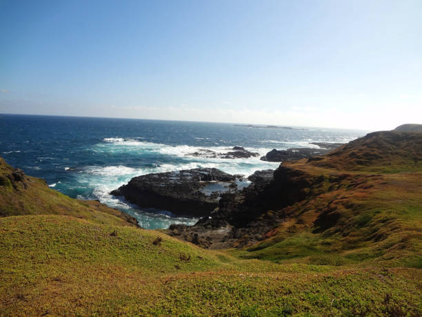 istock Cowrie Beach I - Phillip Island 882547958