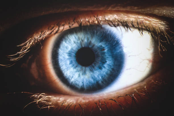 istock An enlarged image of eye with a blue iris, eyelashes and sclera. 882553144