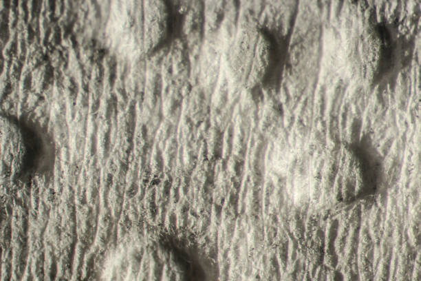 istock texture. enlarged with a slit lamp paper tissue for hands 882553230