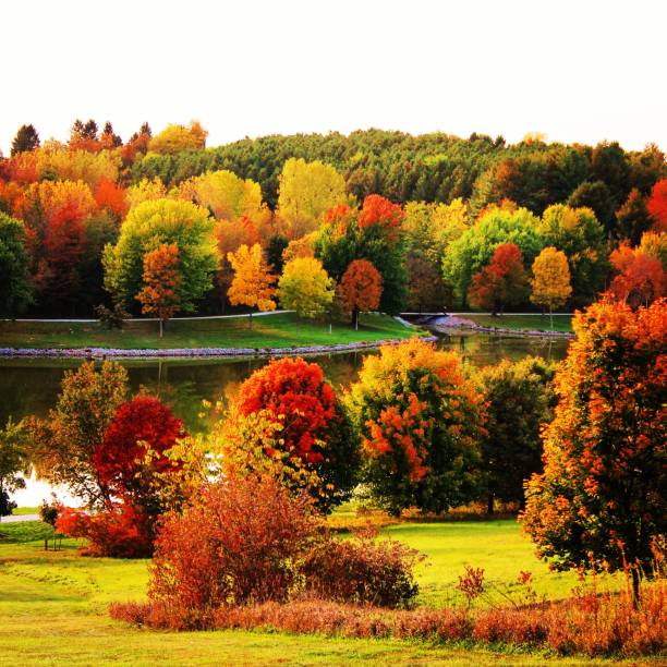 el color de otoño - equinoccio de otoño fotografías e imágenes de stock