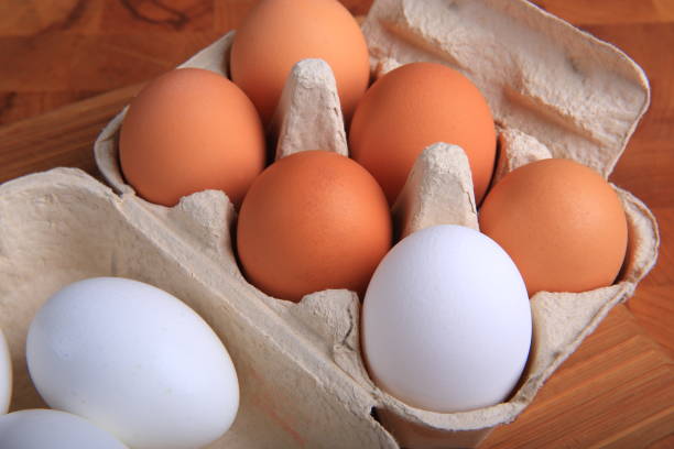 istock Fresh Organic Eggs in a Carton 882570194
