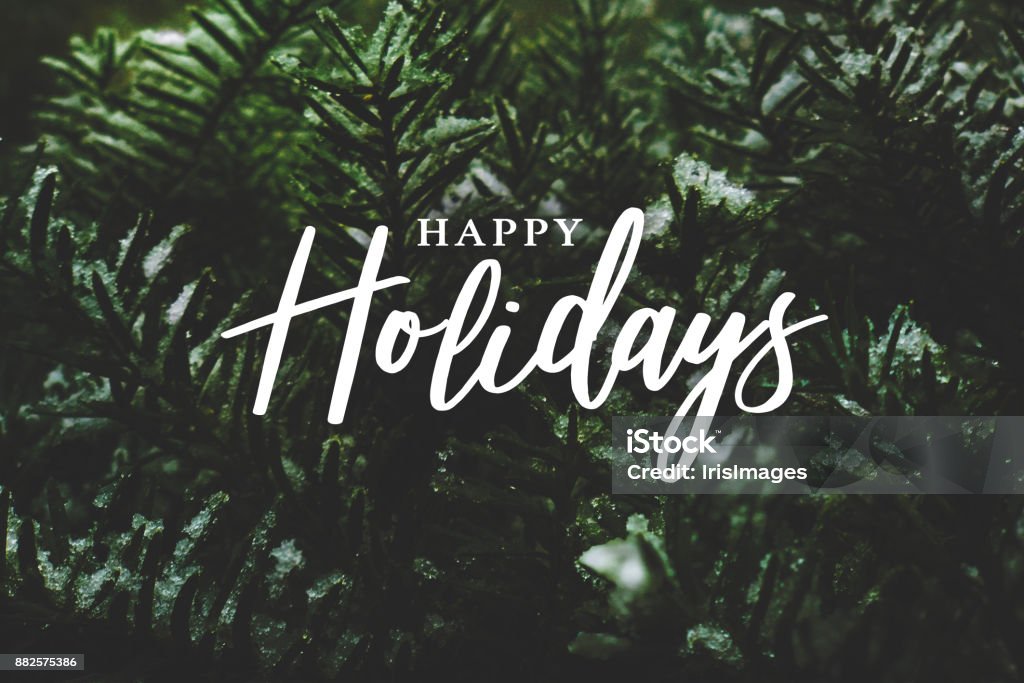 Felices fiestas caligrafía sobre ramas de pino cubierta de nieve - Foto de stock de Happy Holidays - Frase corta libre de derechos