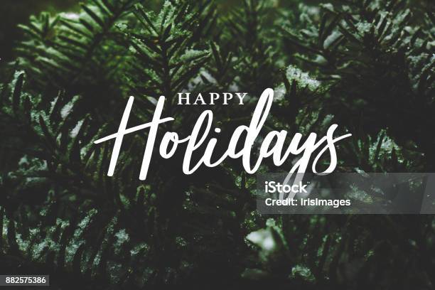 Happy Holidays Calligraphy Over Pine Branches Covered In Snow Stock Photo - Download Image Now