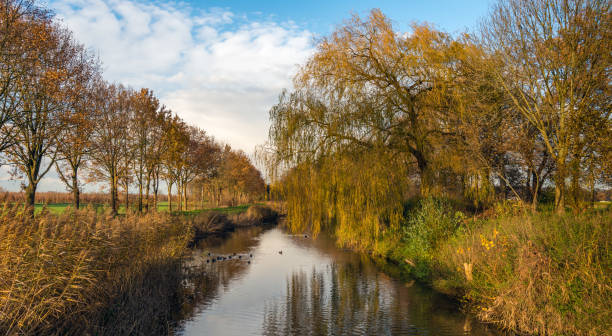 istock Picturesque landscape with a small river in autumn 882581996