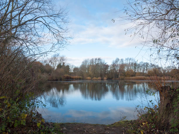 istock beautiful cold lake scene autumn branches water surface reflections trees 882593596
