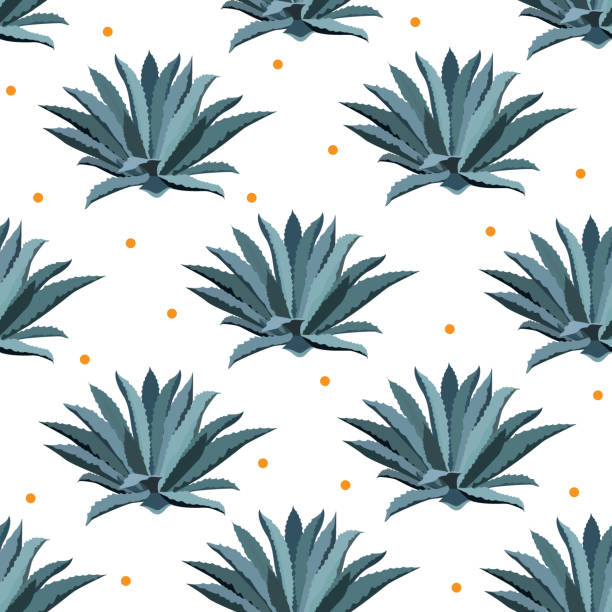 Blue agave vector seamless pattern. Background for tequila packs, superfood with agave syrop, and other. Succulent, cactus wallpapers. Blue agave vector seamless pattern. Background for tequila packs, superfood with agave syrop, textile, and other. Succulent, cactus wallpapers. thorn wreath stock illustrations