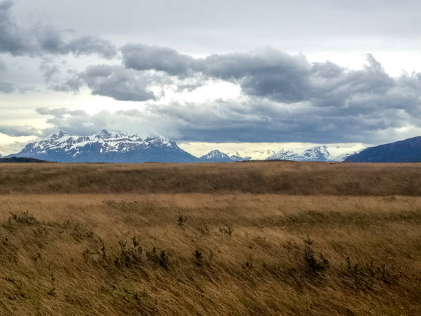 istock Torres Del Paine 882619512