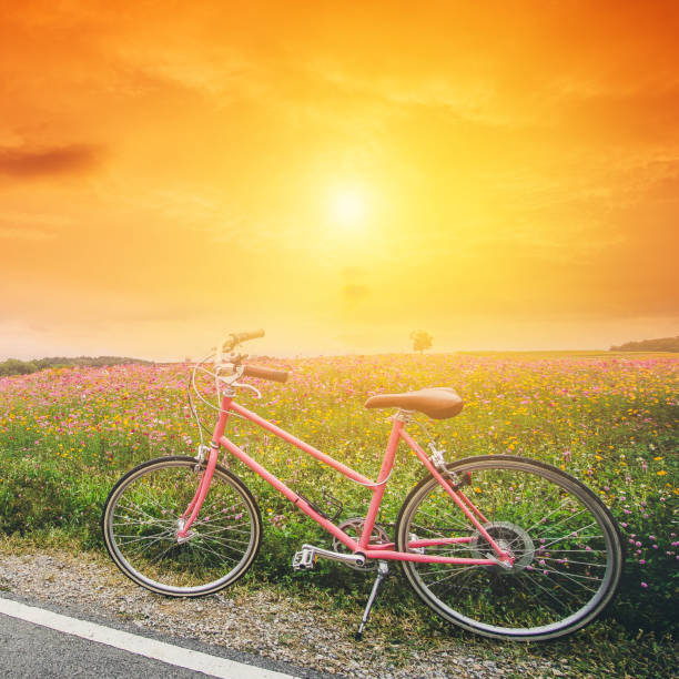 istock beautiful landscape image with pink bicycle at sunset 882653556
