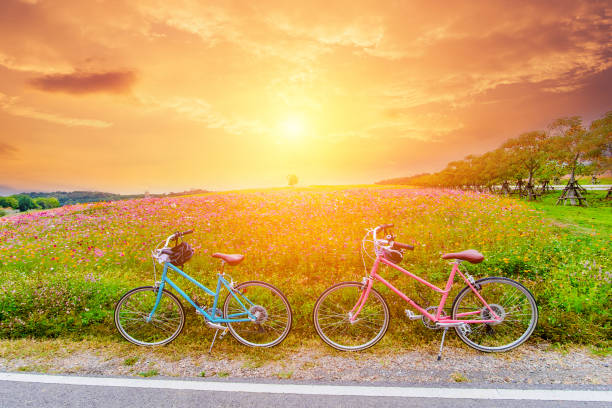 istock beautiful landscape image with bicycles at sunset 882653560