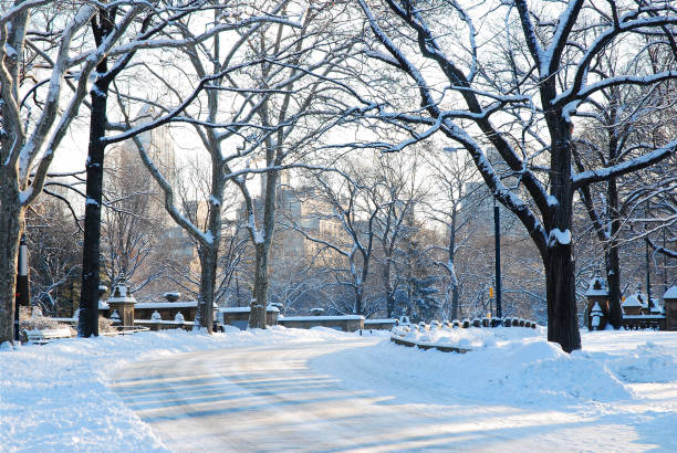 Winter In Central Park Stock Photo - Download Image Now - Central Park - Manhattan, Footpath, Winter - iStock Winter In Central Park Stock Photo - Download Image Now - Central Park - Manhattan, Footpath, Winter - iStock