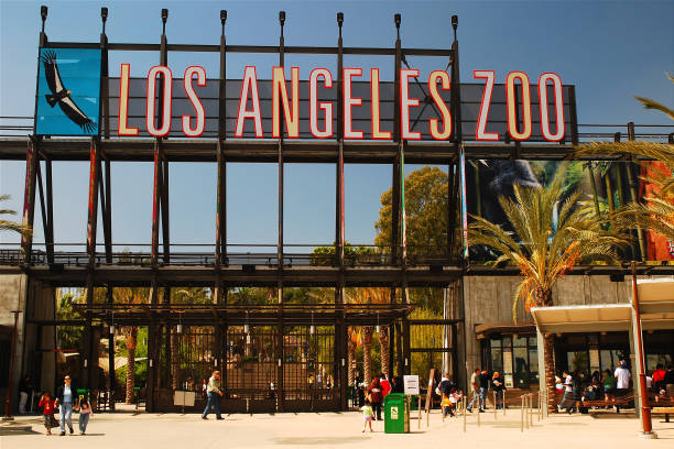 Los Angeles Zoo Los Angeles, CA, USA March 30, 2008 The entrance to the Los Angeles Zoo welcomes guests to view over 1100 animals griffith park photos stock pictures, royalty-free photos & images