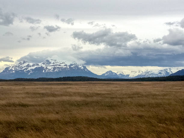 istock Torres Del Paine 882663582