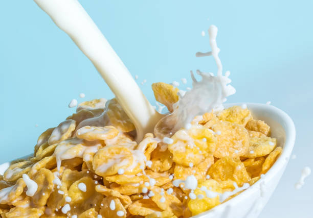 milch-stream gießen in eine schüssel mit сornflakes nahaufnahme. milch spritzen auf eine tasse mit flocken makro auf blauem grund. - getreide stock-fotos und bilder