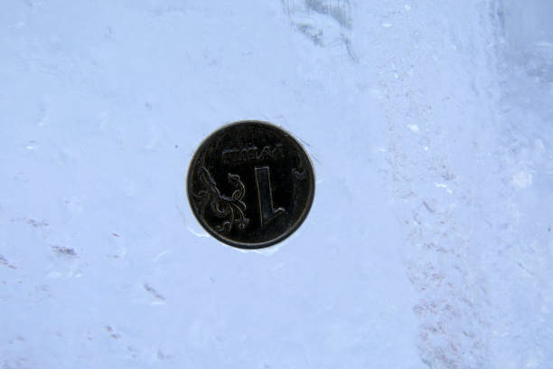 istock round coin imprinted into the ice, in winter 882670362