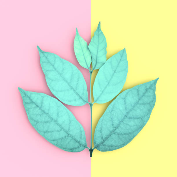 istock green leaves and copy space on pink and yellow background 882690538