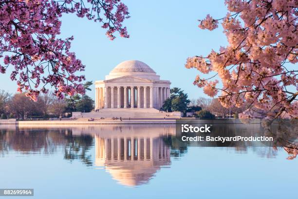 Beautiful Early Morning Jefferson Memorial With Cherry Blossoms Stock Photo - Download Image Now