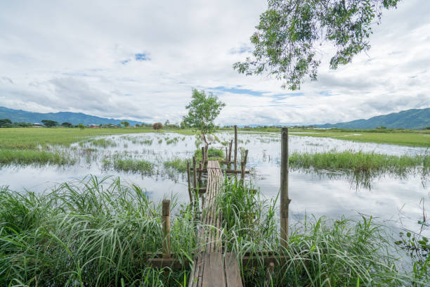 istock Wooden little bridge lying on lake, reflection- Myanmar 882696220