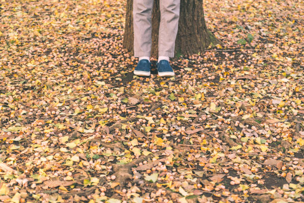 Walking man in the autumn mood.