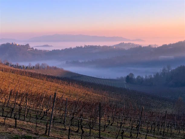 Automne hiver Panorama vignoble avec brouillard en soulevant des vallées. Monferrato, Piémont, Italie - Photo