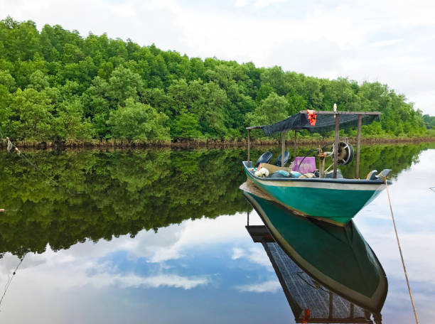 istock Vintage wooden boat in river 882717438