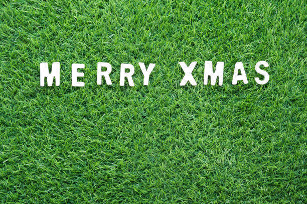 istock Christmas alphabet on green grass 882721216