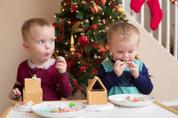 A stock photo of a identical twin brothers making ginger bread houses in front of a Christmas Tree at home.