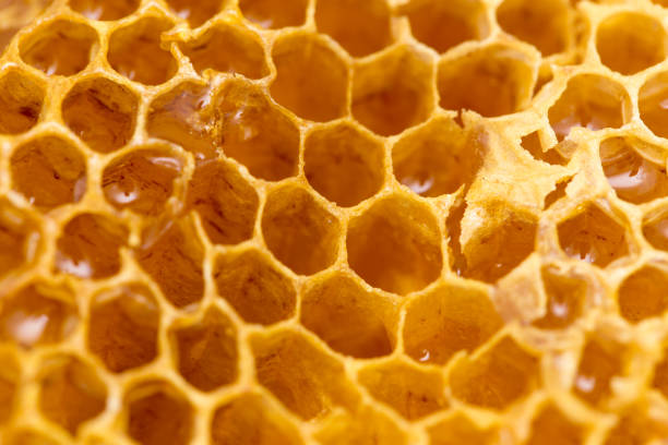 istock Fresh honey in the comb. macro 882738934