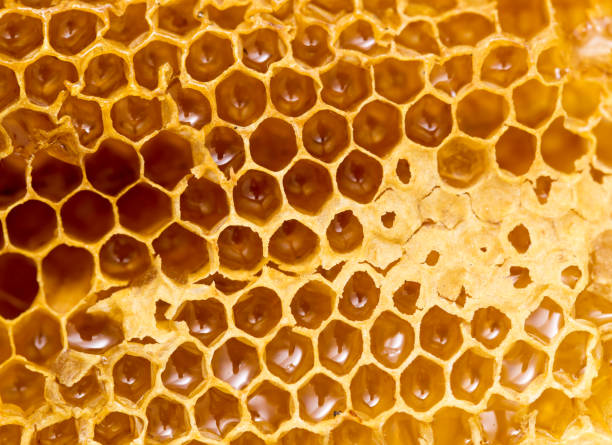 istock Fresh honey in the comb. macro 882739000