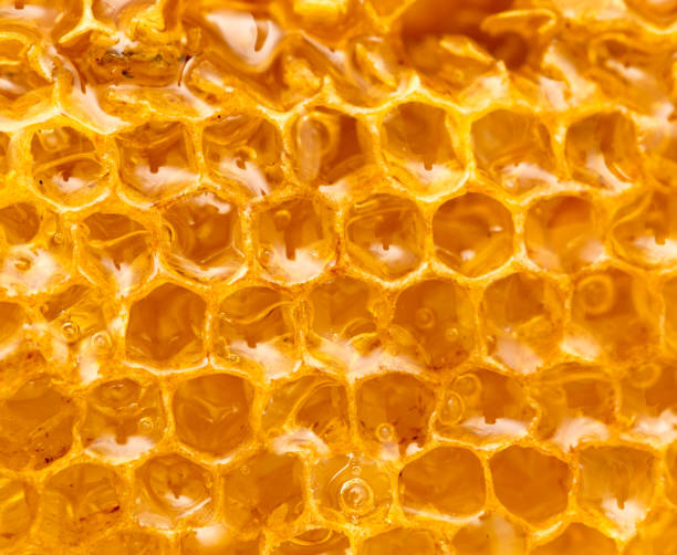 istock Fresh honey in the comb. macro 882739116