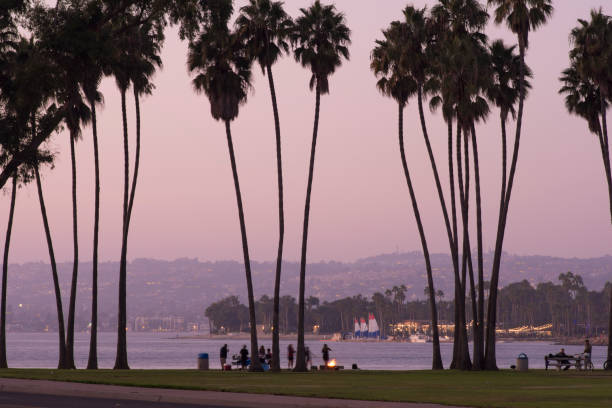 sunset picnic on beautiful mission bay in san diego - san diego california san diego bay fun bay imagens e fotografias de stock