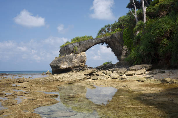 istock Natural Coral  Bridge at Neil Island at Low Tide 882747236