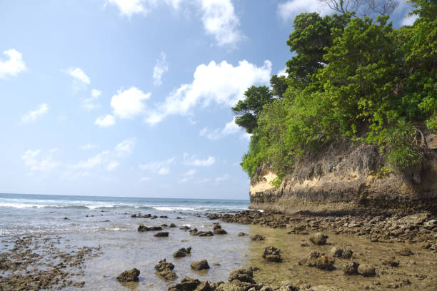 istock Natural Coral  Bridge at Neil Island at Low Tide 882748048