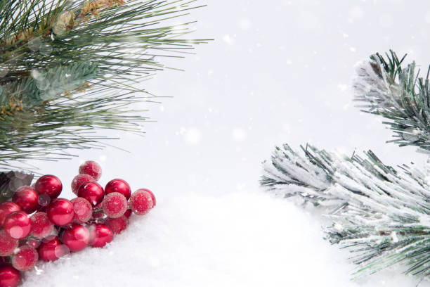 istock Christmas Themed Background in the Snow 882748176