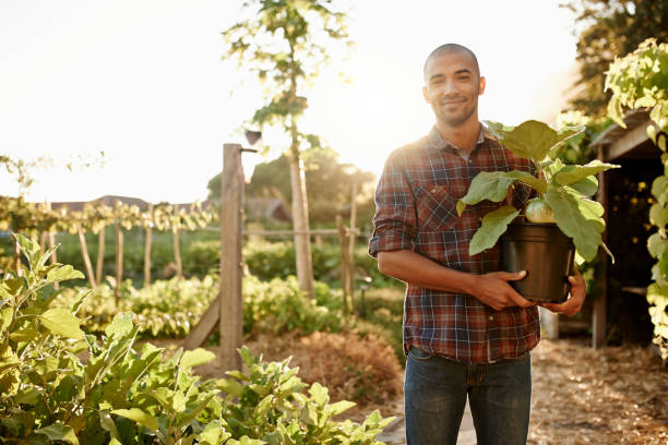 istock Nature holds the key to a better life 882762864