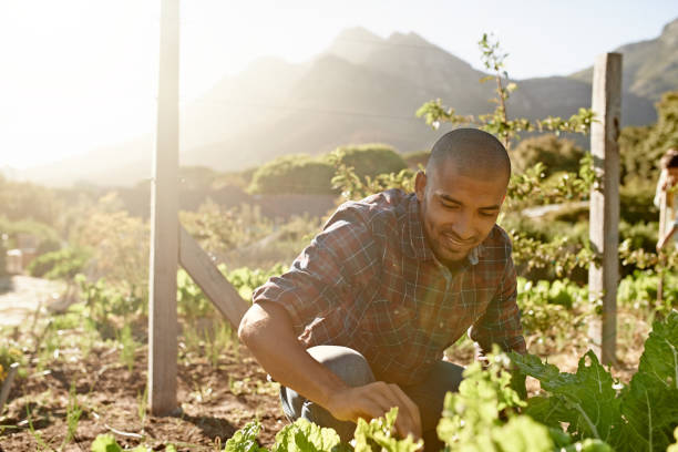 istock He's always careful around the garden 882763060