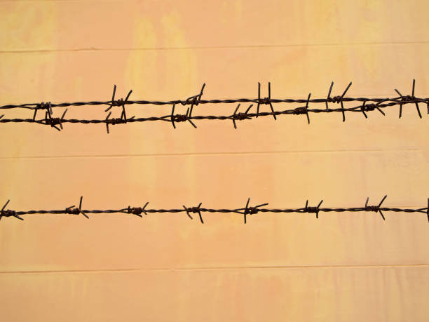 istock Old and rusty barbed wire on the fence 882780506
