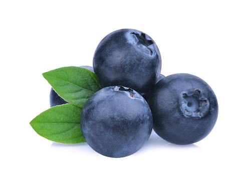 Fresh organic blueberries on white background