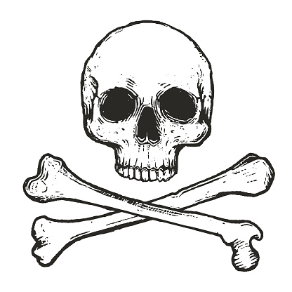 hand drawn illustration of human skull with two crossed bones