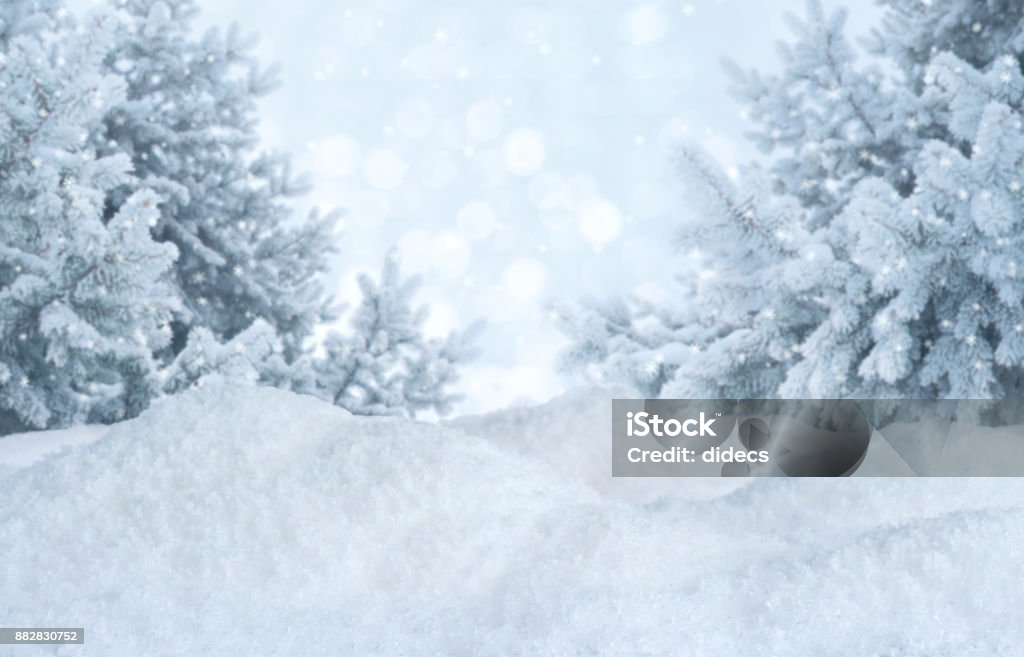 Winter abstract blurred background. Frosty landscape with pines and snowdrifts Pine Tree Stock Photo