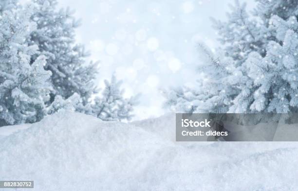 Winter Abstract Blurred Background Frosty Landscape With Pines And Snowdrifts Stock Photo - Download Image Now