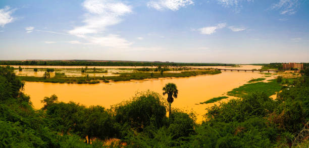 vue aérienne de fleuve niger à niamey au niger - niger delta photos et images de collection