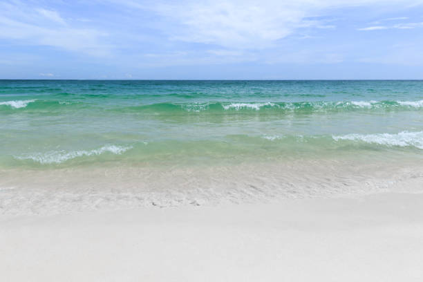 istock beach and tropical sea 882835572