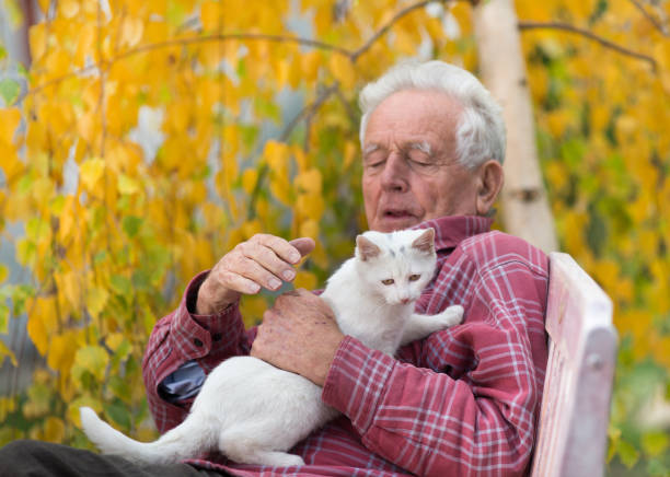 istock Senior man with cat on bench in park 882835724