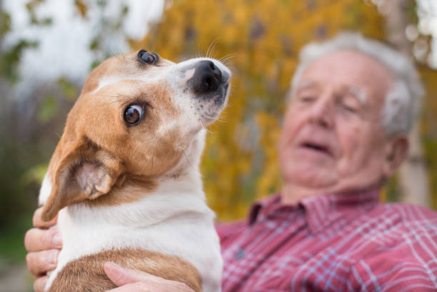 istock Senior man with dog on bench in park 882835902